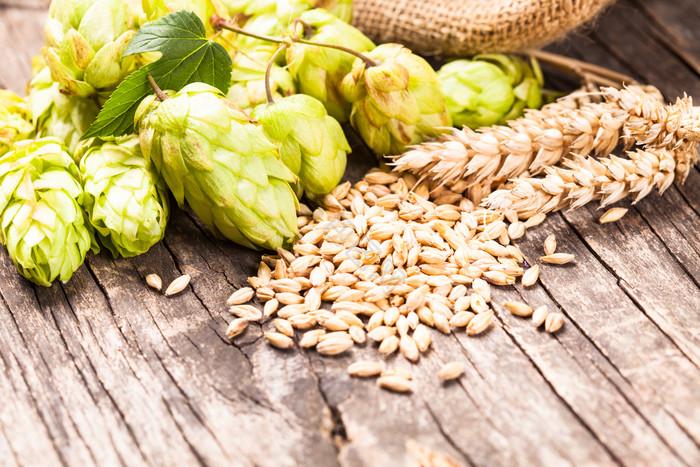 Essential Brewing Equipment for Sorghum Beer Production